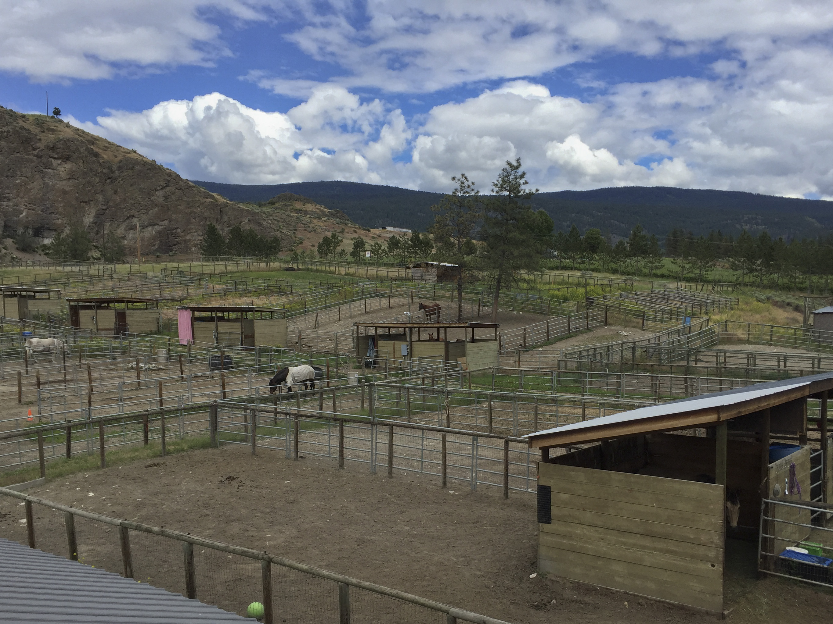 THE FACILITIES AT WOODGATE FARM