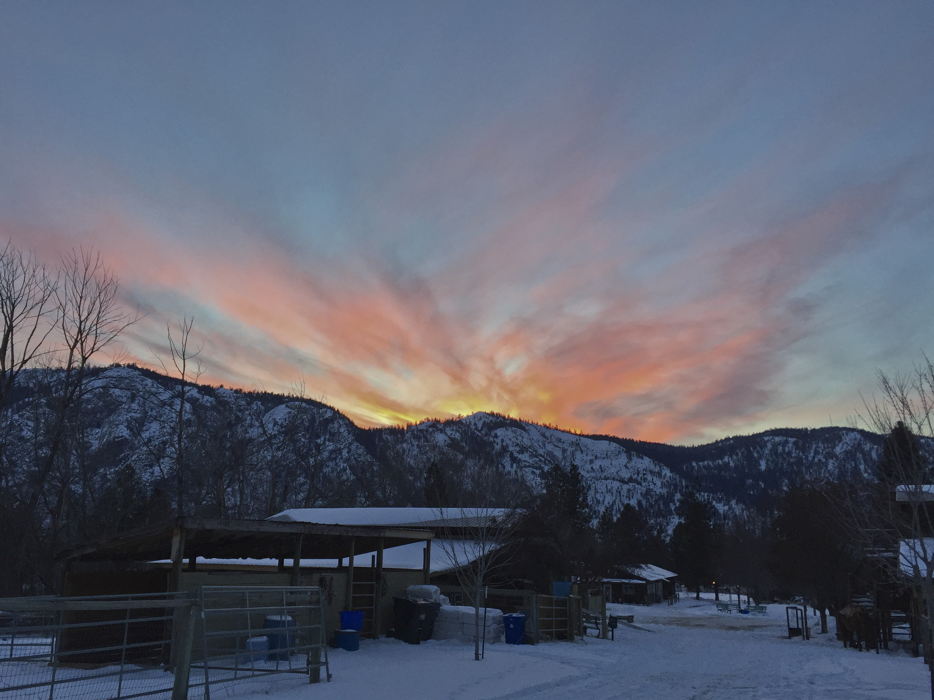 THE FACILITIES AT WOODGATE FARM